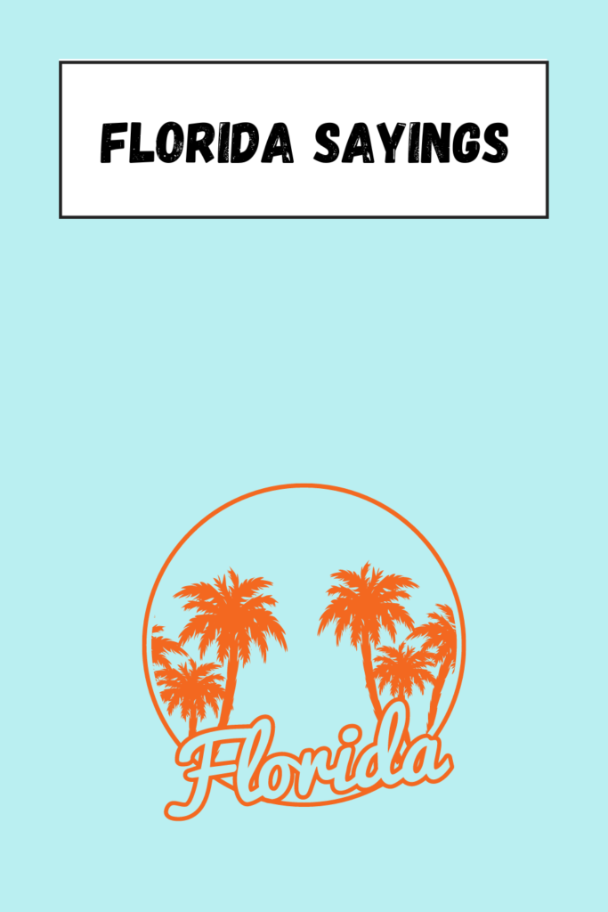 Florida Sayings pins