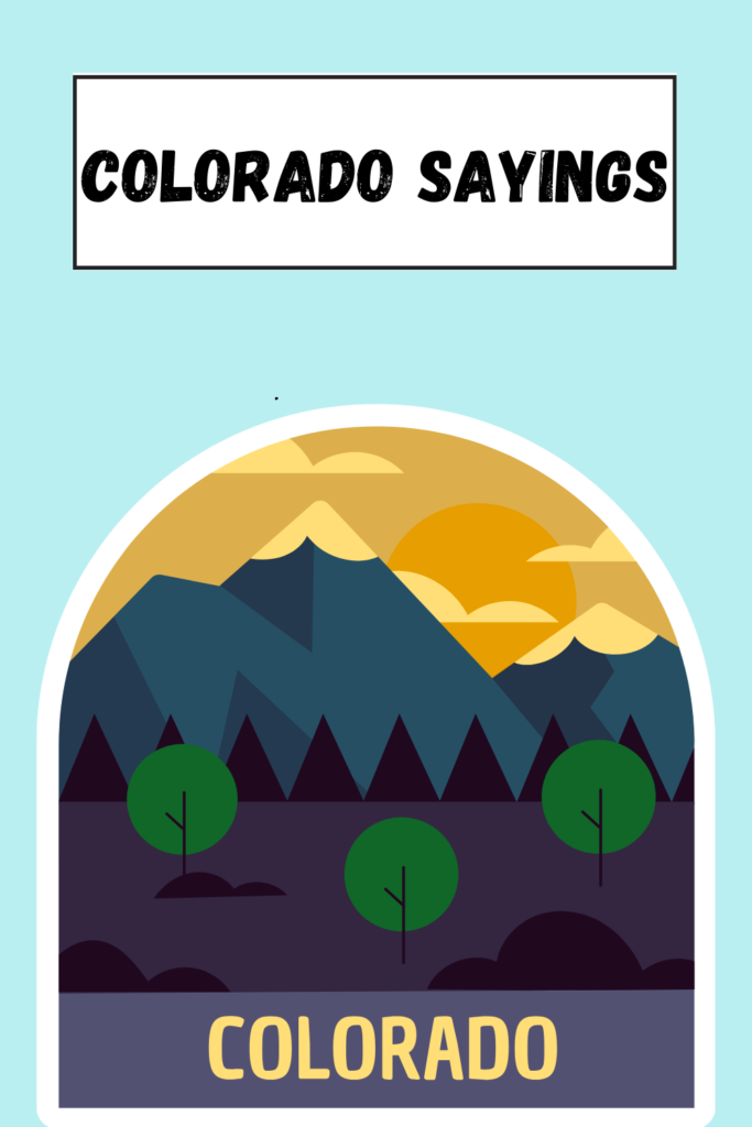 Colorado Sayings pin