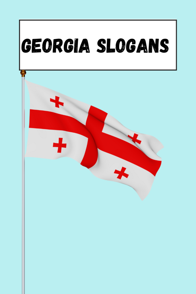 Georgia Slogans pin